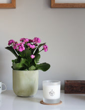 Load image into Gallery viewer, Urban Garden Scents essential oil and soy wax glass candle. Summer's Day with Bergamot and Orange oils to have an uplifting and reviving effect on the mind and body.