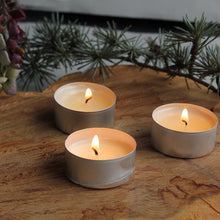 Load image into Gallery viewer, Pine & Cedarwood tealights